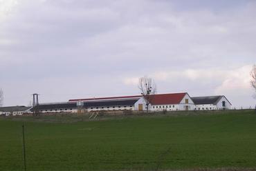Tornyiszentmiklósi csirkefarm