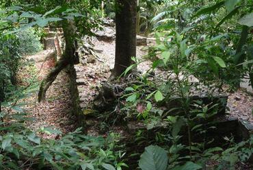 Palenque, dzsungel romok