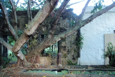 Moulin Casse, Mauritius. Vezető tervező: Geoffrey Bawa, fotó: Sánta Gábor.