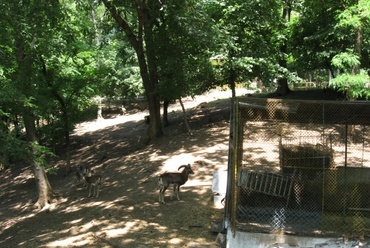 Tordai állatkert jelenlegi helyzet