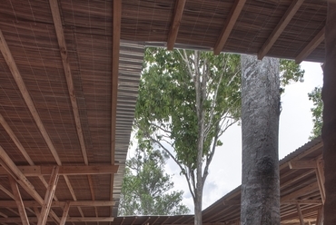 Két nagy fa található az átriumban, fotó: Pasi Aalto