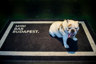 Spike élőben, fotó: MINI BAR BUDAPEST