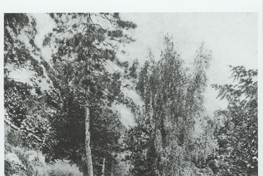 1900 körül, Felső sétány, forrás: GARTEN Studio