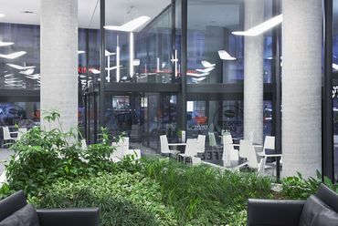 A „lobby lounge” növényei, fotó: Bujnovszky Tamás