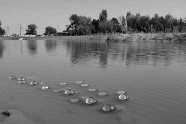 Életképek - dAM 2014