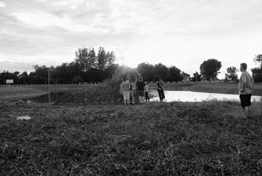 Fészek - dAM 2014