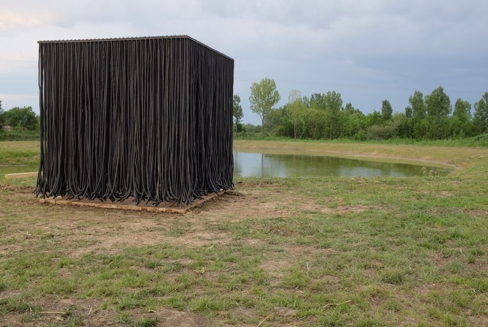 Puli - dAM 2014