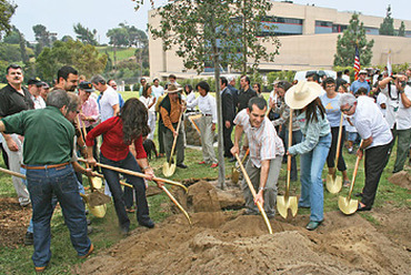 Million Tree Project, Los Angeles