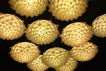Flora Light 45, fotó: Juhász Ádám
