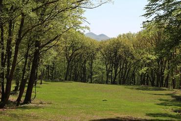 Károlyi-kastély park - fotó: Északerdő Zrt.