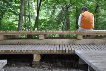 Bakonyi turistapihenő - építész: Szabó Rákhel - fotó: Szabó Rákhel