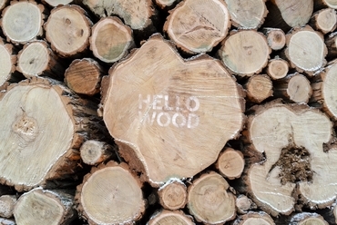 Hello Wood adományfa - Óbuda, Szentlélek tér - építész: Hello Wood - fotó: Lakos Máté