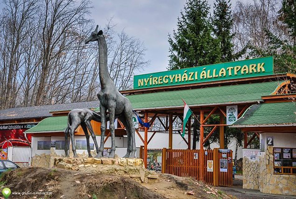 Nyíregyháza Állatpark Fejlesztése, Jégkorszak Interaktív Állatbemutató - tervpályázat