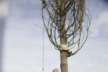 Klaus Litmann bázeli művész, az installáció szellemi atyja első fájával. 