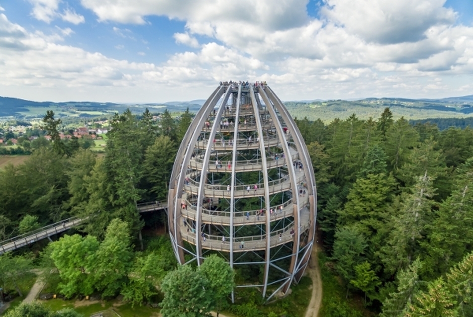 Waldwipfelweg, azaz Lombkoronasétány a Bajor-erdő Nemzeti Parkban. (Fotó: chodnikkorunamistromov.sk)