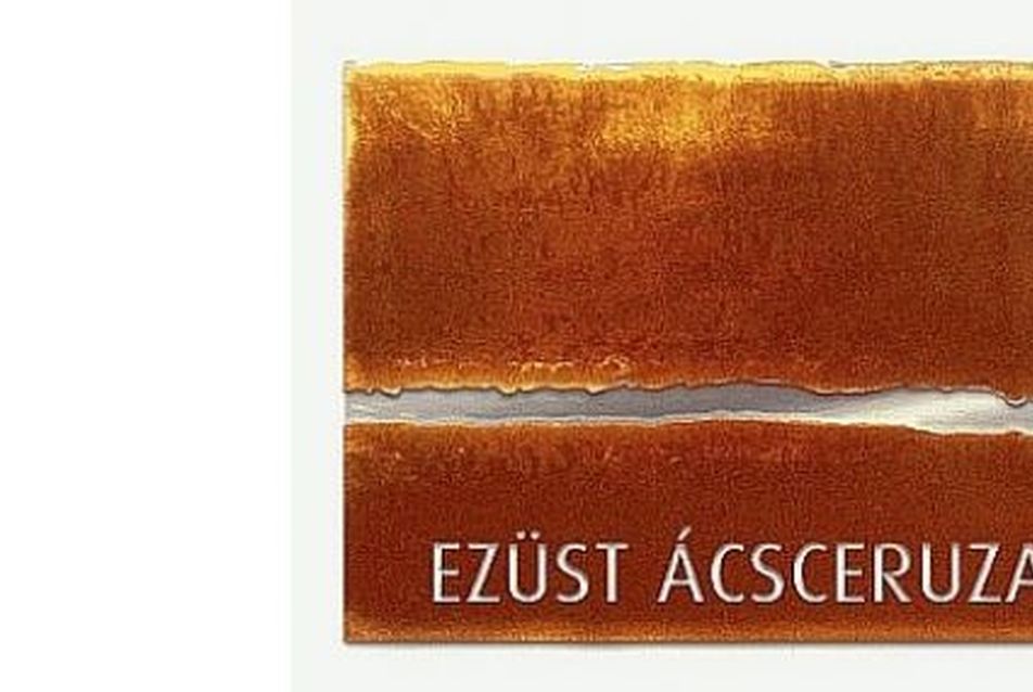 Ezüst Ácsceruza-díj 2019 – a Honi Művészetért Alapítvány pályázata