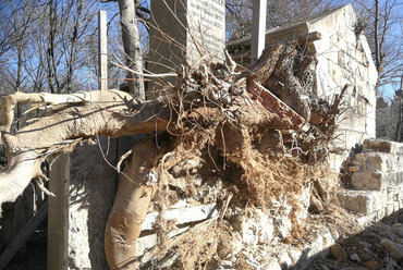 A Salgótarjáni úti temető kerítésébe nőtt fa gyökérzete a fal elbontását követően. Fotó: NÖRI