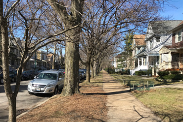 Családi házas utca Andersonville negyedben. Az utca tágassága nemcsak a közterület szélességéből, hanem az utcával látványában mindenhol együtt élő 4,6m széles, autómentes előkertekből is adódik. –  fotó: Benkő Melinda 2020 március