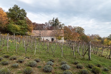 Tervezés és kivitelezés: Pajer Nóra, Soltész Noémi / Nanavízió / 2019, Fotó: Juhász Norbert