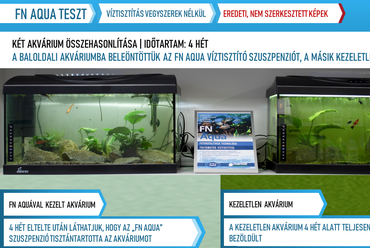 Két akvárium összehasonlítása (kezeletlen-FN AQUÁVAL kezelt) – Forrás: NANO TEAM - Mercor Dunamenti Zrt.