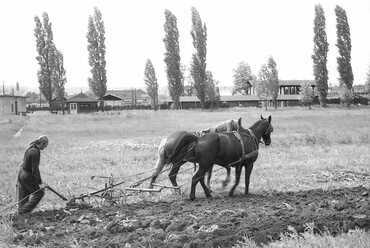 A Hadak útja mögötti terület, 1970-es évek. Forrás: Facebook