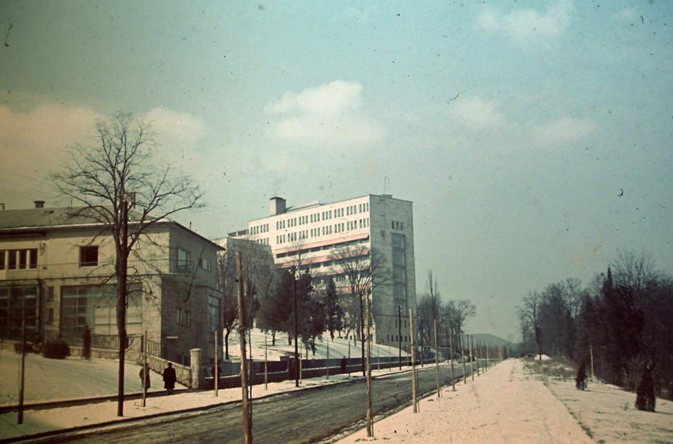 Kútvölgyi út, Országos Tisztviselői Betegsegélyző Alap kórháza (ma Semmelweis Egyetem Kútvölgyi Klinikai Tömb), 1943. Forrás: Fortepan