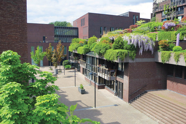 5. ábra: Medina housing, Eindhoven / Neave Brown – fotó: VvE Medina Eindhoven via Architecture Today