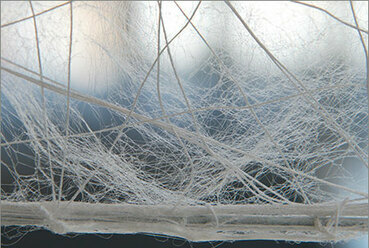 Silk Pavilion I-II © OXMAN