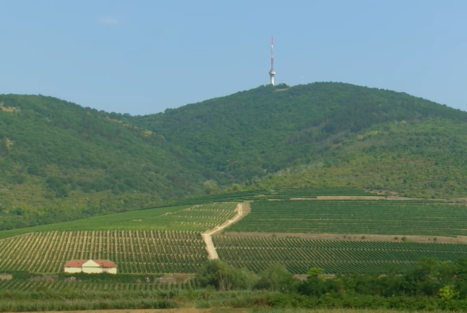 A TSPC tervezheti a tokaji Kopasz-hegyi TV-torony fejlesztését