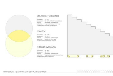 Hidrokultúrás Növényfarm – Virág Evelin diplomamunkája