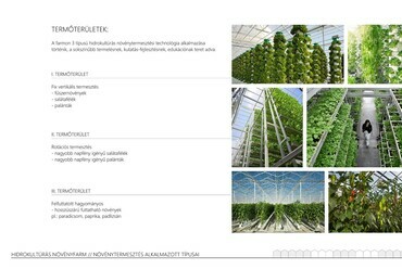 Hidrokultúrás Növényfarm – Virág Evelin diplomamunkája