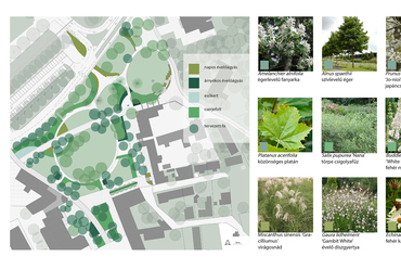 A balatonboglári Vörösmarty tér tájépítészeti megújítása, tervezett növényfoltok