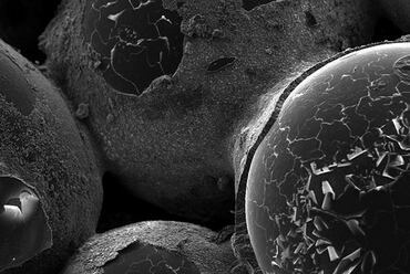 Biocement mikroszkopikus képe – forrás: Biomason | Twitter