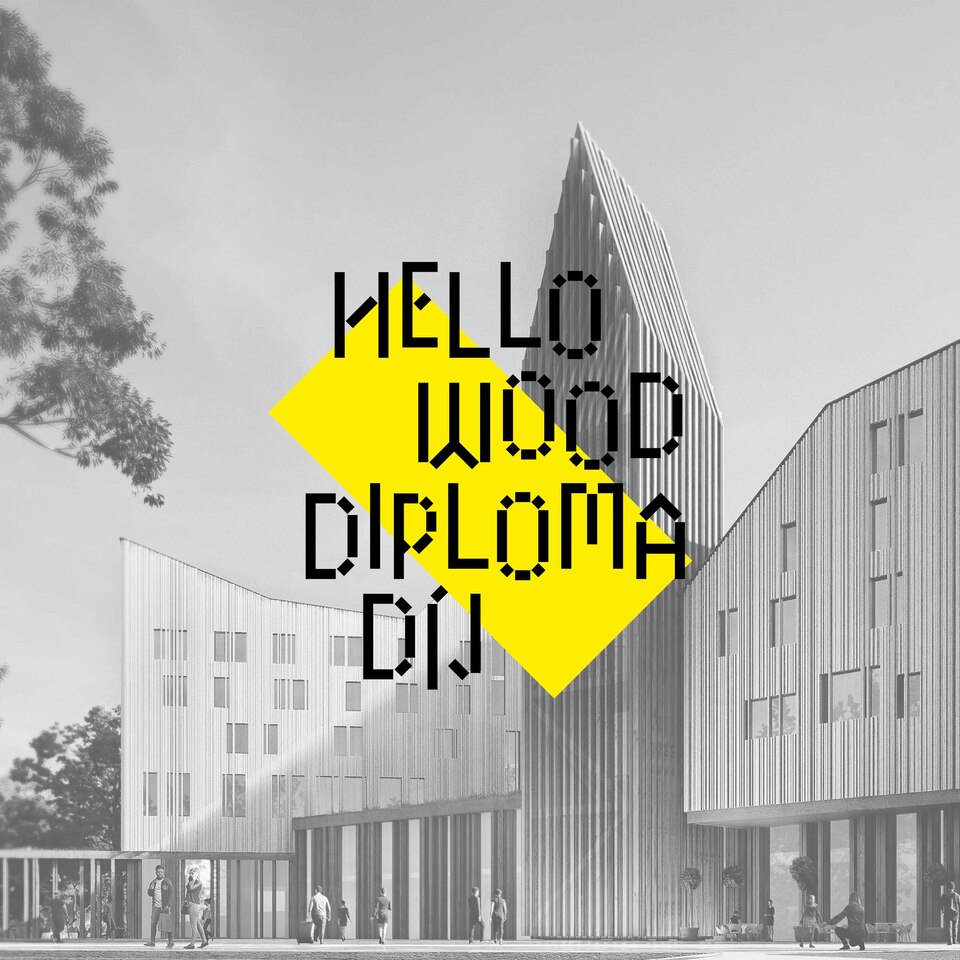 Hello Wood Diplomadíj