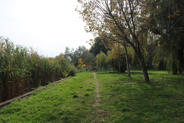 Balatonalmádi, a Lottótelep előtti vízpart / Fotó: Wettstein Domonkos