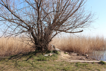 Balatonalmádi, a Lottótelep előtti vízpart / Fotó: Wettstein Domonkos