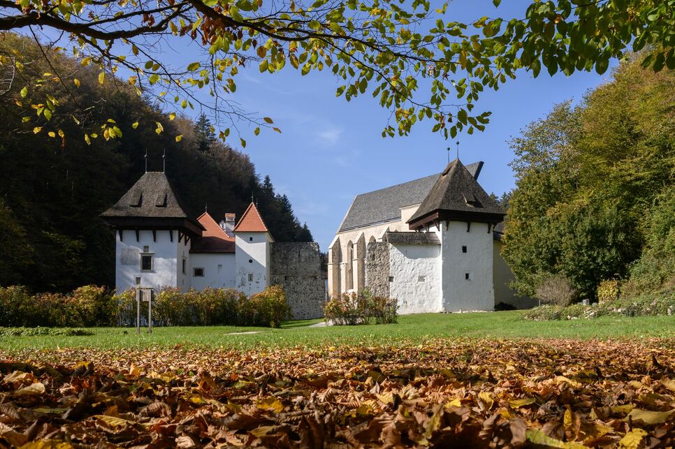 A Keresztelő Szent János-templom fedése és rehabilitációja, Žiče, Szlovénia, Tervező: MEDPROSTOR, Fotó: Tadej Bolta, A tervezők hozzájárulásával