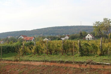 Paloznak / Fotó: Wettstein Domonkos