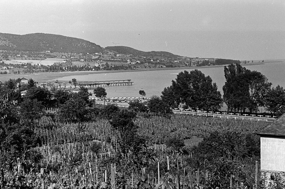 Badacsonytomaj, középen a tóba benyúló kőrakodó, 1954 / Forrás: Fortepan 142937, Chuckyeager tumblr