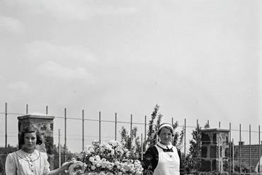 Balatonakarattya, a Hosszúmező utca és a Csaba utca sarkán álló nyaraló és kertje, Ormos Imre felvétele, 1938. / Fortepan, Ormos Imre Alapítvány
