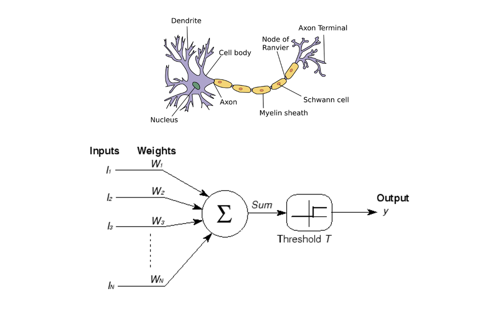 McCulloch and Pitts // első mesterséges neuron matematikai modellje
