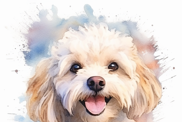 Maltipoo dog in watercolour" by Midjourney AI prompted by Netha Hussain is licensed under CC BY-SA 4.0.
