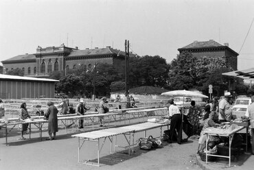 Marx téri piac, háttérben a Csillaggal, 1979. Forrás: Fortepan / Rubinstein Sándor
