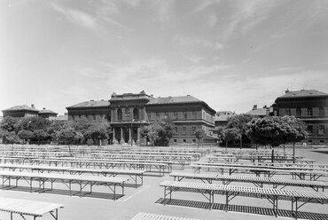 Marx téri piac, háttérben a Csillaggal, 1971. Forrás: Fortepan / Főfotó
