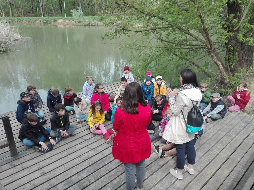 Buda rendezvénysorozat – városi séta
