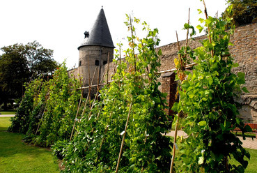 A németországi Andernach kertje. Forrás: Andernach Tourism
