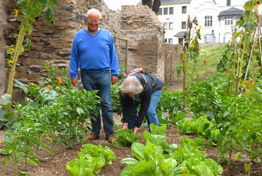 A németországi Andernach kertje. Forrás: Andernach Tourism
