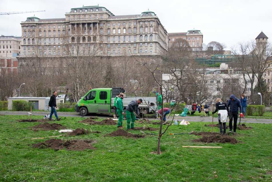 Szaporodnak a gyümölcsösök Budapest közparkjaiban – az ehető város koncepció