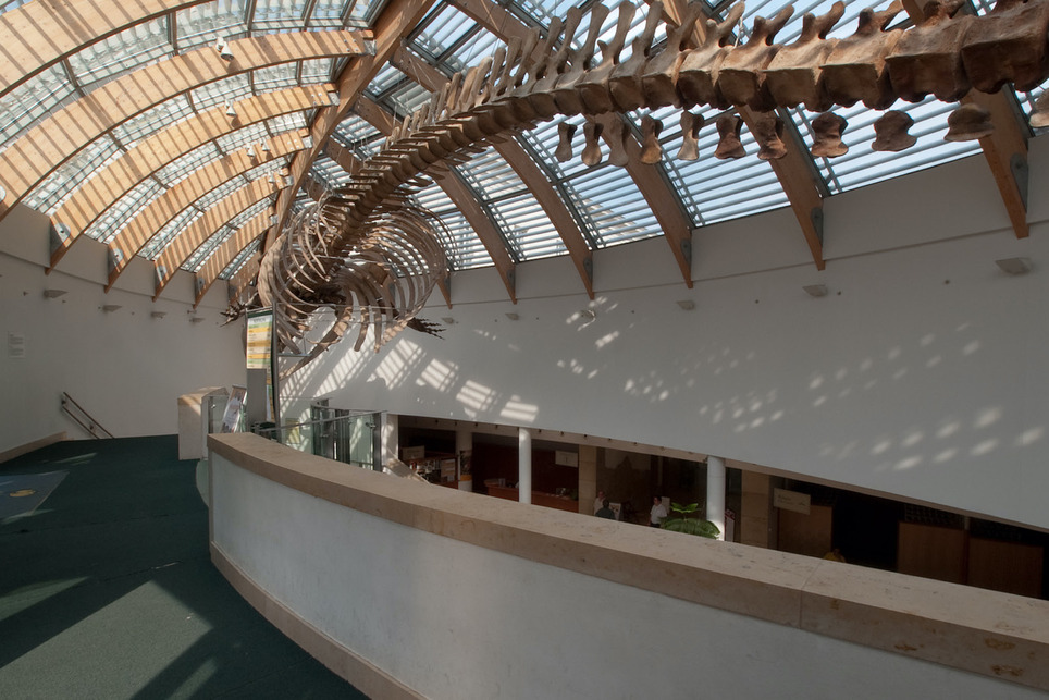 Természettudományi Múzeum, Budapest – Építészet: Mányi István (Mányi Stúdió) – Fotó: Palkó György – Forrás: Krüllung Kft.