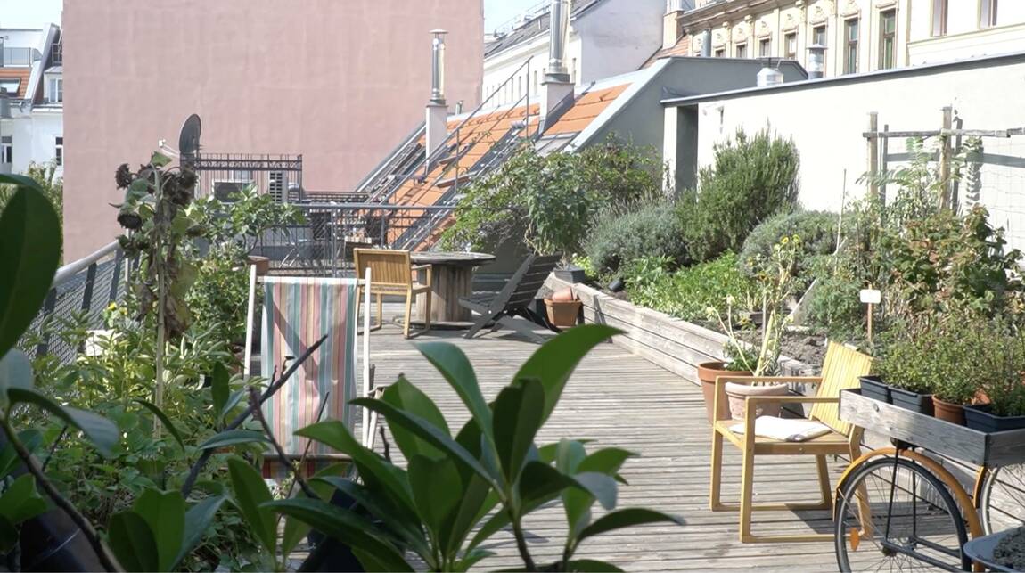 Bécs, VINZIRAST MITTENDRIN.
Fotó: Megérkezések…VinziRast mittendrin, CoHousing Budapest Egyesület, 2024.09.04